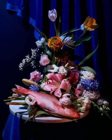 Vanitas for waldmann expo by mathilde karrer