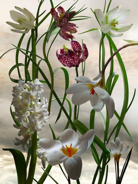 Floral personnal work by mathilde karrèr