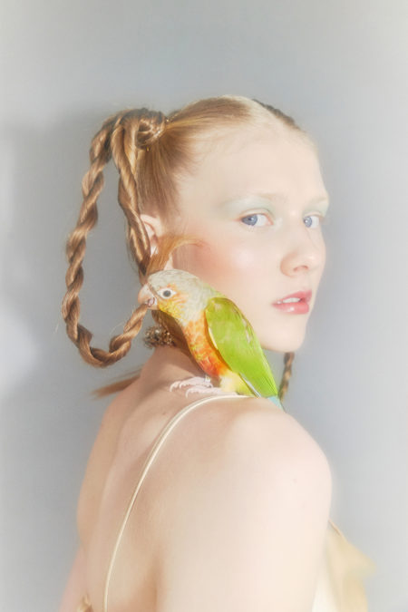 Ruby birdy by diane sagnier