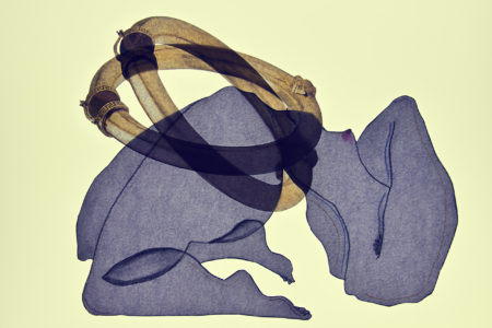 By loreen hinz